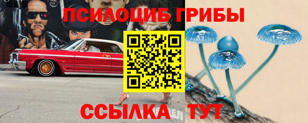 Галлюциногенные грибы GOLDEN TEACHER Лобня